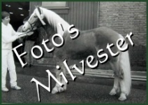 Klik hier voor meer foto's